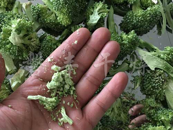 西藍花凍干