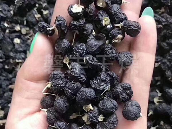 黑枸杞凍干機